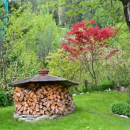 Nonna Carmen Apartament Sappada